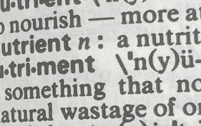 See “Healthy” Think “Nourishing”